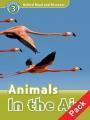 READ & DISCOVER 3 - ANIMALS IN THE AIR (+CD)