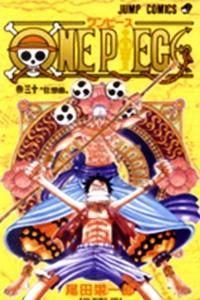 ONE PIECE: VOL 30