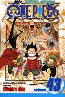 ONE PIECE: VOL 43