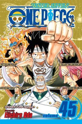 ONE PIECE: VOL 45