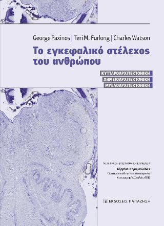 ΤΟ ΕΓΚΕΦΑΛΙΚΟ ΣΤΕΛΕΧΟΣ ΤΟΥ ΑΝΘΡΩΠΟΥ