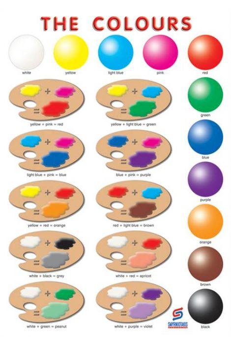 THE COLOURS