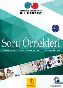 SORU ORNEKLERI B1