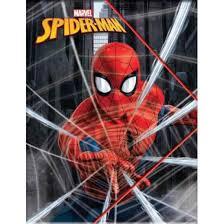 ΝΤΟΣΙΕ ΜΕ ΛΑΣΤΙΧΟ ΣΧΟΛΙΚΟ 25Χ35 GIM ΡΡ SPIDERMAN