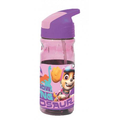 ΠΑΓΟΥΡΙ 500ML FLIP PAW PATROL DINO GIRL