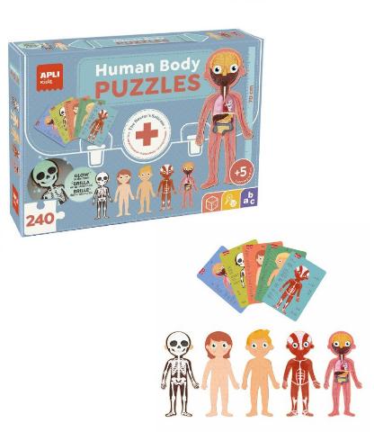 PUZZLE 240ΤΕΜ ΕΚΠΑΙΔΕΥΤΙΚΟ APLI HUMAN BODY